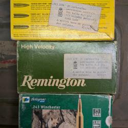 Lot de munitions 243 winchester