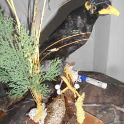 M&eacute;nate religieux