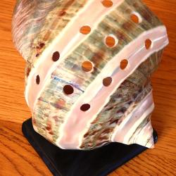 PARFAIT ET SUPERBE COQUILLAGE EXOTIQUE POUR COLLECTIONS D'OBJETS DIVERS - MONT&eacute; EN PIQUE-FLEURS