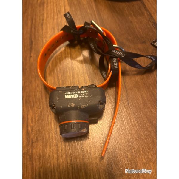 Dogtra StB hawk