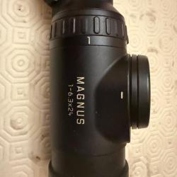 Vends Leica magnus 1-6,3X24 rail + montage blaser