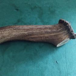 GROS MORCEAU BOIS MUE CERF AVEC MEULE POUR COUTELLERIE USAGES DIVERS