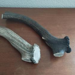 2 GROS MORCEAU BOIS MUES CERF AVEC MEULES POUR COUTELLERIE USAGES DIVERS