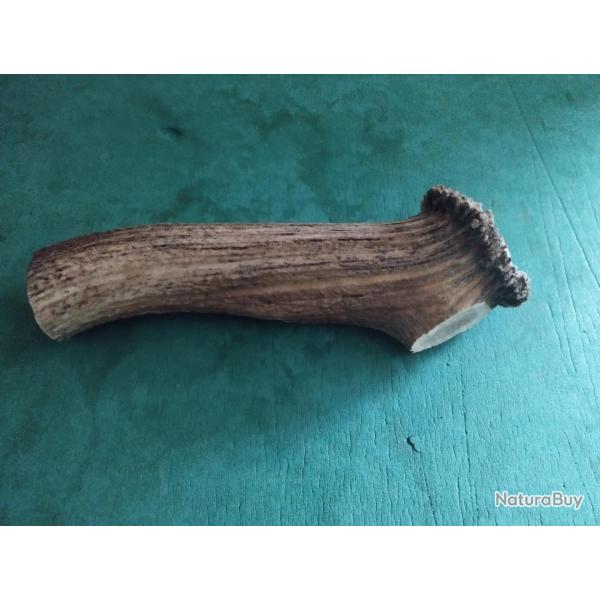 GROS MORCEAU BOIS MUE CERF AVEC MEULE POUR COUTELLERIE USAGES DIVERS