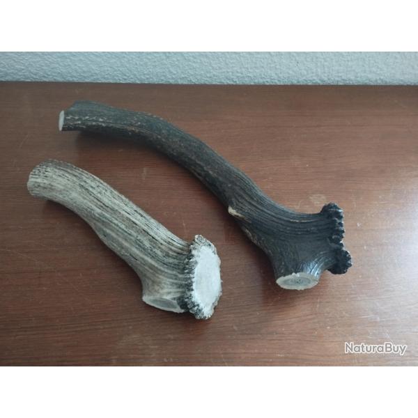 2 GROS MORCEAU BOIS MUES CERF AVEC MEULES POUR COUTELLERIE USAGES DIVERS