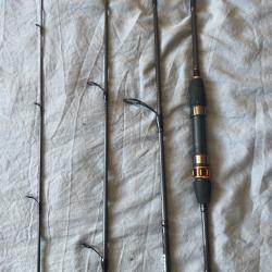 Canne spinning petit carnassier