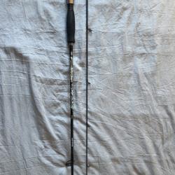 Canne spinning carnassier