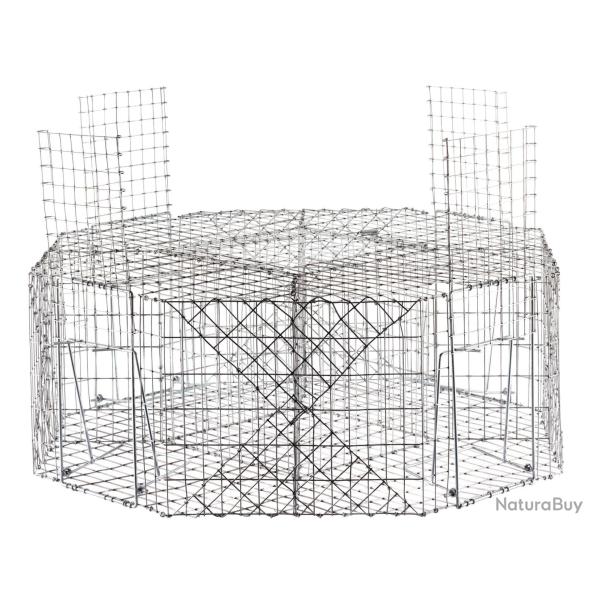 Cage � pies