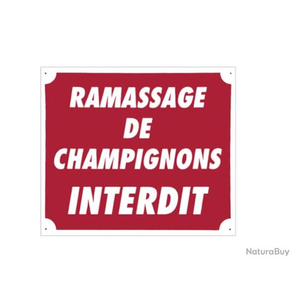 Panneau 'Ramassage de champignons interdit' 30 x 25 cm - Aluminium
