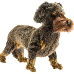 Peluche Teckel &agrave; poil dur debout