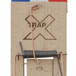 Tapette &agrave; rat en bois - TAPETTES &Agrave; RAT (BOIS) BLISTER/1