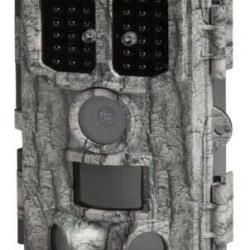 NUM'AXES - Pi&egrave;ge photographique PIE1076