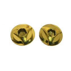 Kit de vis de grip pour Hi-capa Or