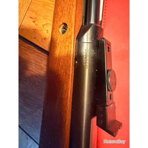 Diana 460 Magnum cal 4,5