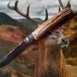 Couteau de poche Opinel 7 bois de cerf