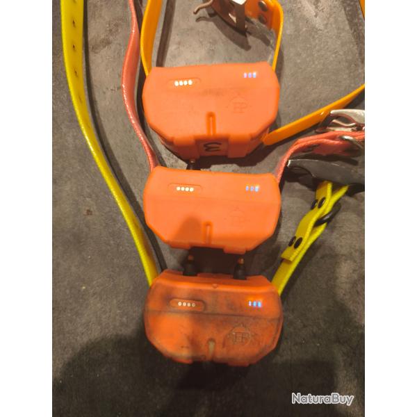 Collier huntpower 4g