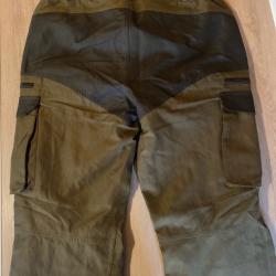 Stagunt phoenix bison