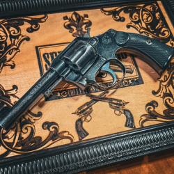 Colt Police Positive 38sw bleu ! Superbe.