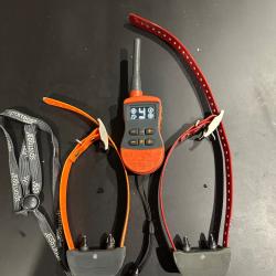 Colliers sportdog port&eacute; 800m collier suppl&eacute;mentaire achet&eacute; l an dernier