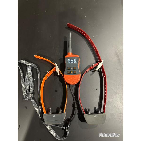 Colliers sportdog port� 800m collier suppl�mentaire achet� l an dernier