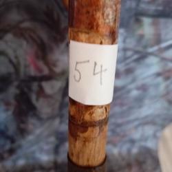 CANNE DE PIRSCH (54)