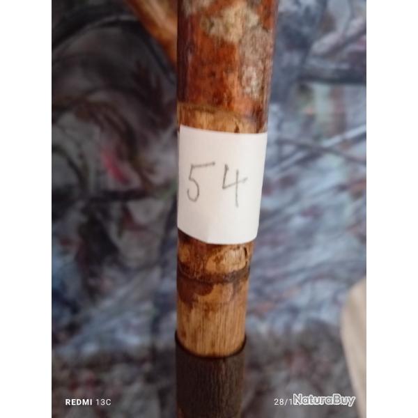 CANNE DE PIRSCH (54)