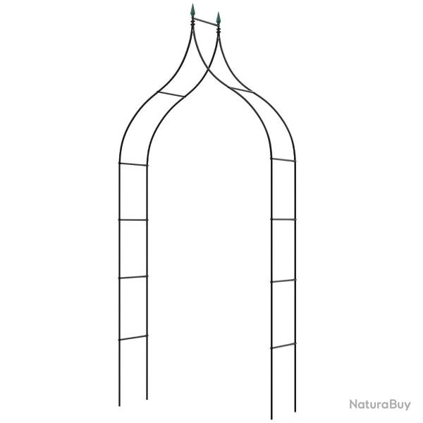 Arche de jardin 140 x 38 x 255 cm pour plantes grimpantes en m�tal d�coratif moderne en fer noir 20