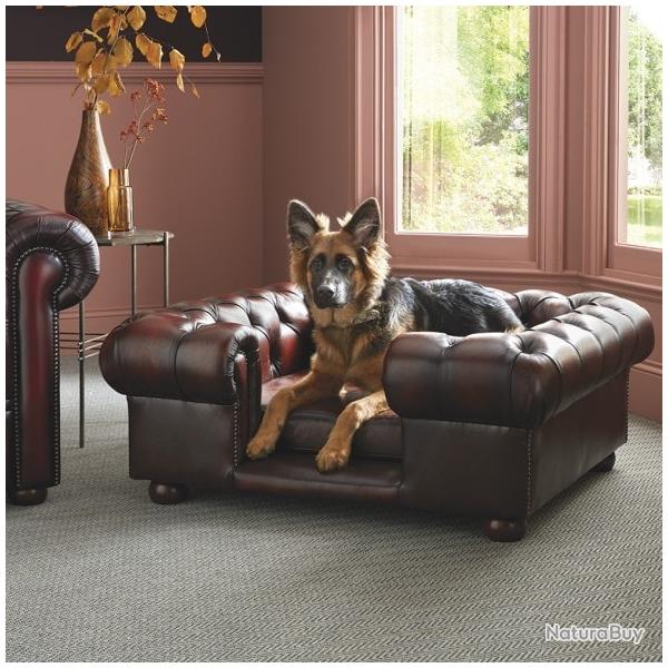 Chesterfield - Lit pour chien