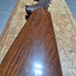 vend fusil chasse cal20 bettinsoli overland