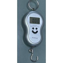 peson de 20 gramme &agrave; 40 Kg