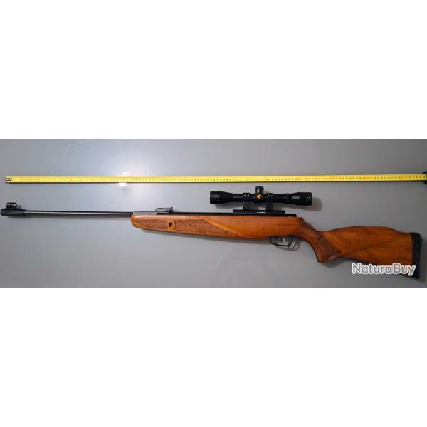 GAMO Grizzly 1250 + lunette GAMO 4x32 WR