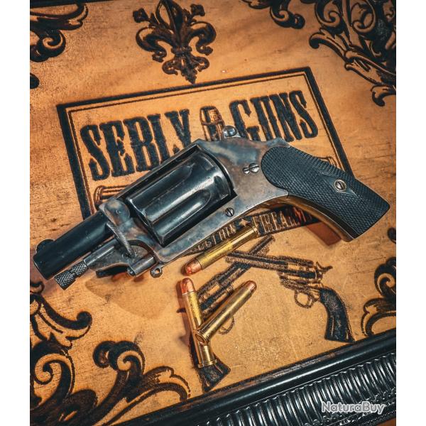 Superbe velodog 6mm tardif Beau jaspage