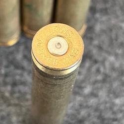 20 douilles RWS   calibre 10.3X68 MAG