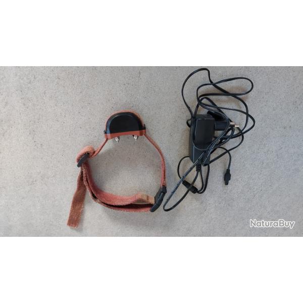 Collier antifugue Petsafe rechargeable