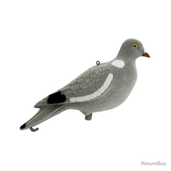 Appelant Stepland Pigeon floqu� 1 - 1