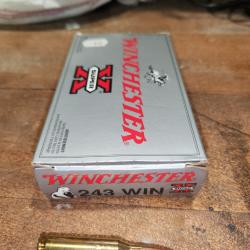 winchester 243-80grs-soft point