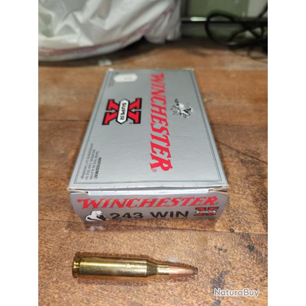 winchester 243-80grs-soft point