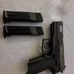 R&eacute;plique sig 2022 co2