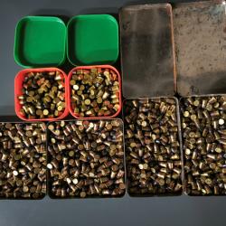 Lot de 1000 bosquettes 22 lr