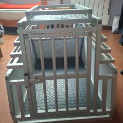 Cage transport chien