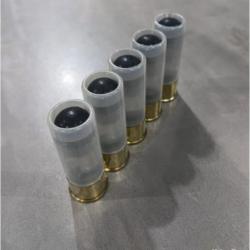 5 cartouches gomm-cogne calibre 12/70 SAPL