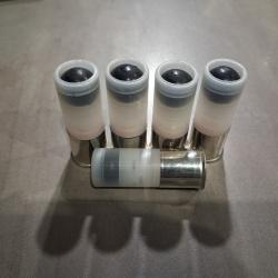 5 cartouches gomm-cogne calibre 12/70 SAPL