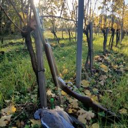 Fusil type simplex, 16/65