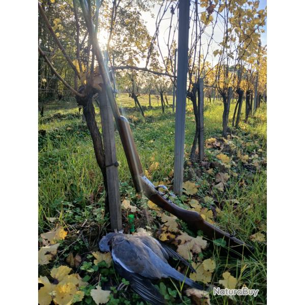 Fusil type simplex, 16/65