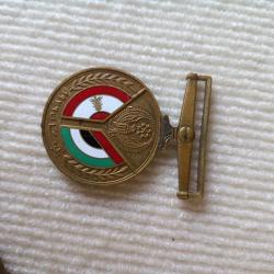 1976 Insigne de m&eacute;daille de l'Ordre des Casques bleus des &Eacute;mirats arabes unis au Liban