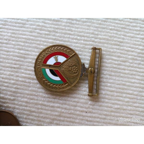 1976 Insigne de m�daille de l'Ordre des Casques bleus des �mirats arabes unis au Liban
