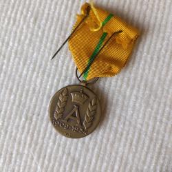 M&eacute;daille belge des v&eacute;t&eacute;rans. Albert 1er