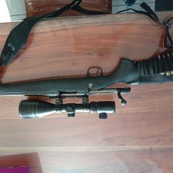 Carabine Marlin 308win