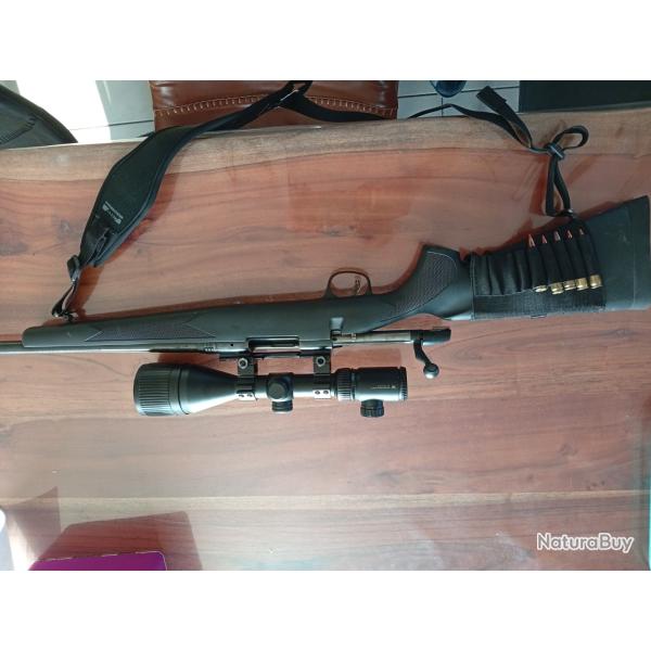 Carabine Marlin 308win