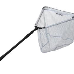 EPUISETTE P&M SPECIMEN 3 MM